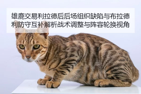 xiong-lu-jiao-yi-li-la-de-hou-hou-chang-zu-zhi-que-xian-yu-bu-la-de-li-fang-shou-hu-bu-jie-xi-zhan-shu-tiao-zheng-yu-2-484.jpg